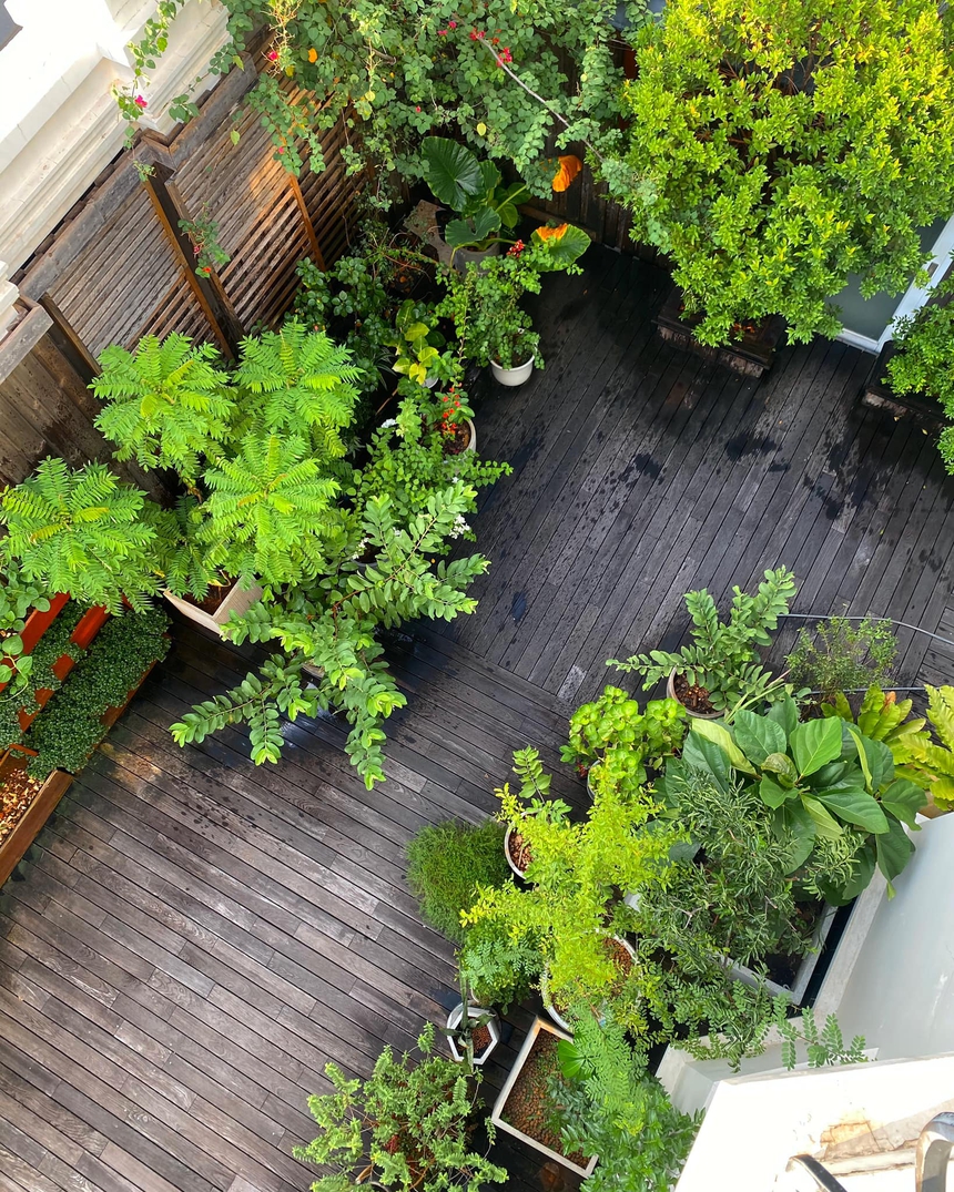 Hà Tăng, Phan Hiển và loạt sao Việt mát tay khi trổ tài làm nông - Ảnh 4.