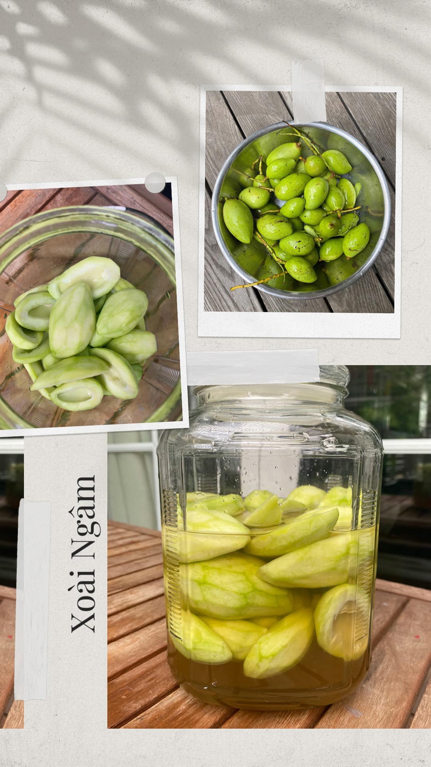 Hà Tăng, Phan Hiển và loạt sao Việt mát tay khi trổ tài làm nông - Ảnh 5.