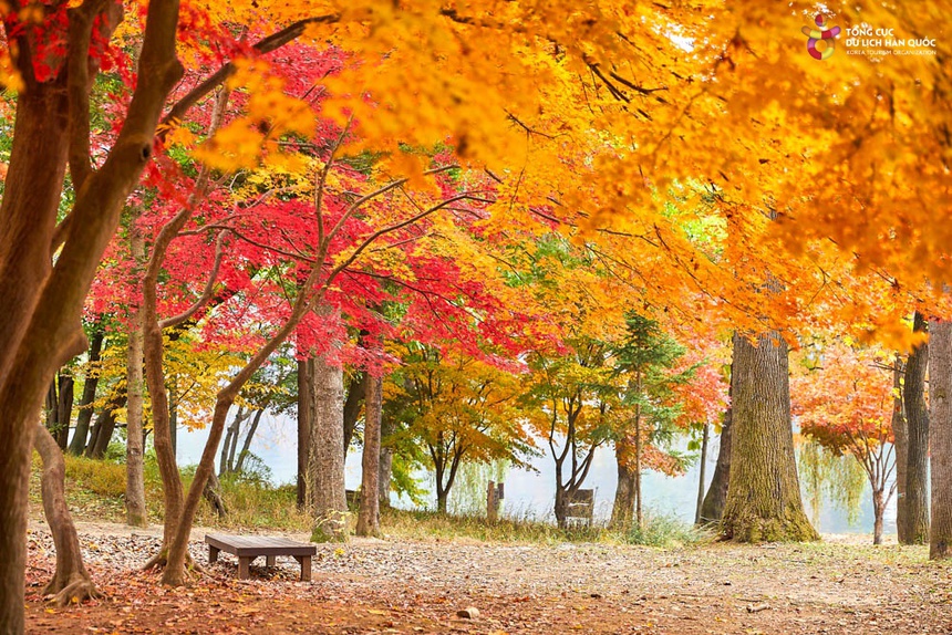 Tổng cục Du lịch Hàn Quốc đưa game thủ nổi tiếng Morgan đến Việt Nam - Ảnh 1.