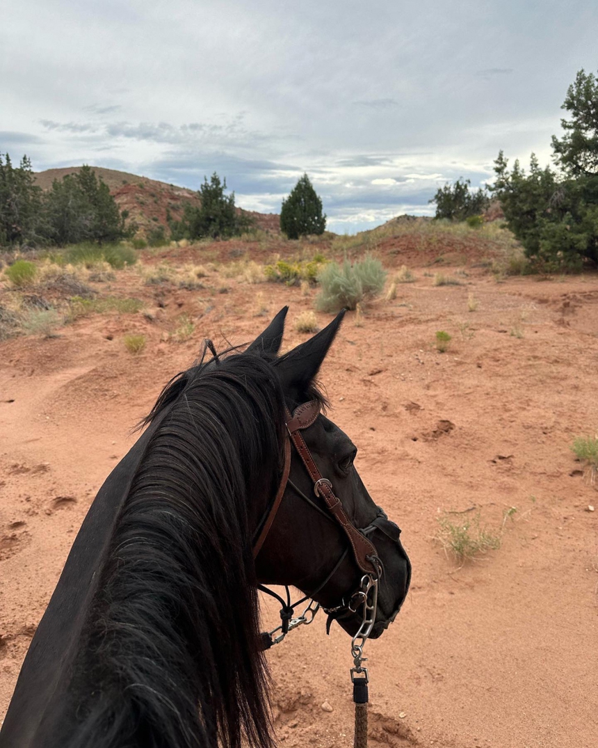 Jennie Blackpink lại gây ghen tị với bộ ảnh đẹp mê hồn trong kỳ nghỉ dưỡng sang chảnh - Ảnh 17.