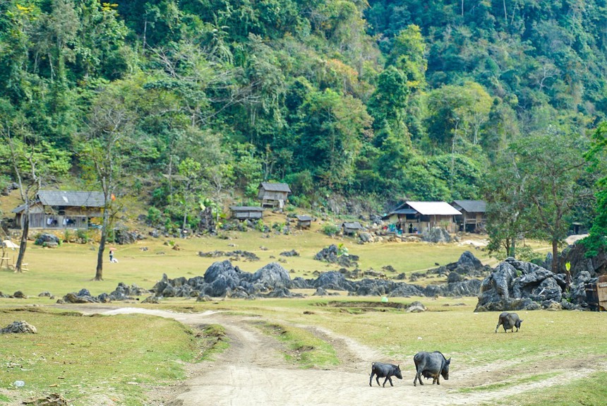 Du lịch Việt Nam: Vẻ đẹp bình yên và thơ mộng của cao nguyên Mộc Châu - Ảnh 6.