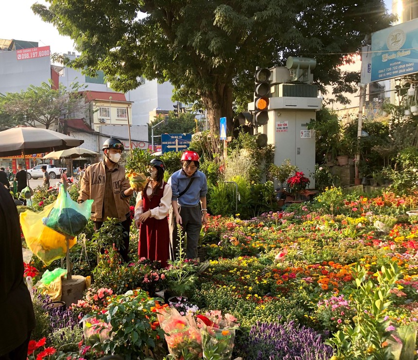 Mức giá cây cảnh gần Tết: Có tăng nhưng không nhiều - Ảnh 2.