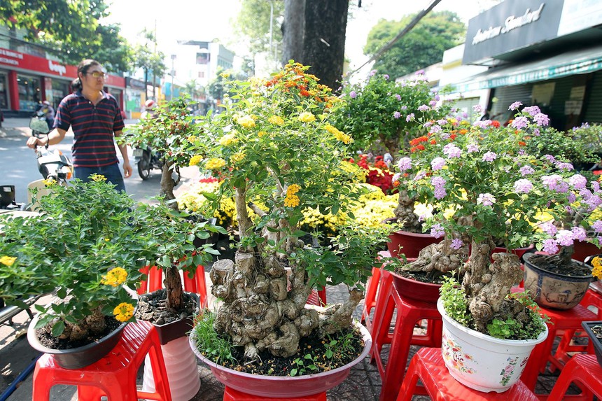 Hàng hóa Tết giảm giá 'chạy đua' doanh số - Ảnh 2. Hàng hóa Tết giảm giá 'chạy đua' doanh số - Ảnh 2.