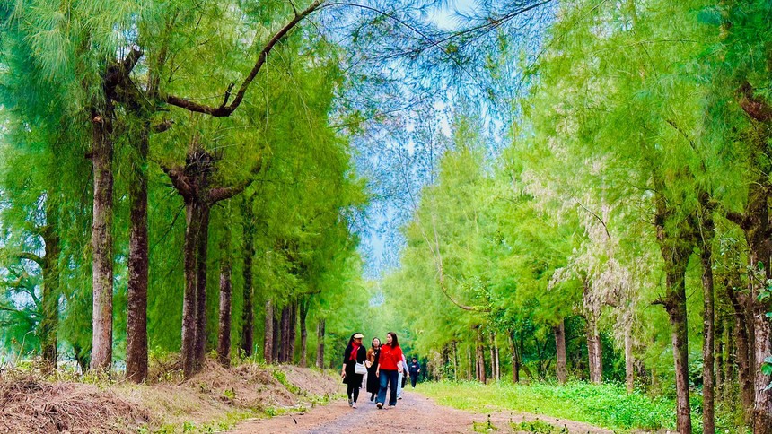 Cồn Đen - tỉnh Thái Bình: Cồn biển đẹp hoang sơ ở miền Bắc - Ảnh 3. Cồn Đen - tỉnh Thái Bình: Cồn biển đẹp hoang sơ ở miền Bắc - Ảnh 3.