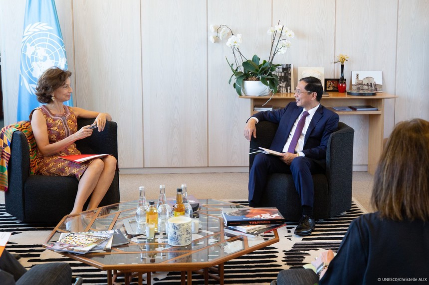 Văn hóa soi đường: Năm thành công của ngoại giao văn hóa Việt Nam tại UNESCO - Ảnh 3.