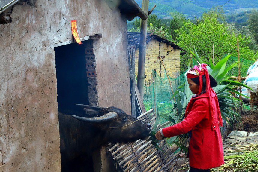 Ảnh hưởng không khí lạnh, vùng núi Bắc Bộ có nơi dưới 10 độ C - Ảnh 1. Ảnh hưởng không khí lạnh, vùng núi Bắc Bộ có nơi dưới 10 độ C - Ảnh 1.