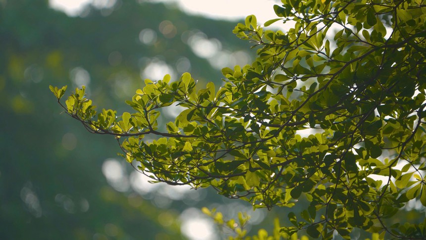 Series phim mới của Đài Hà Nội "chạm" đến trái tim khán giả - Ảnh 20. Series phim mới của Đài Hà Nội "chạm" đến trái tim khán giả - Ảnh 20.