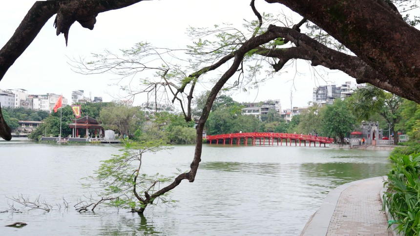 Series phim mới của Đài Hà Nội "chạm" đến trái tim khán giả - Ảnh 7. Series phim mới của Đài Hà Nội "chạm" đến trái tim khán giả - Ảnh 7.