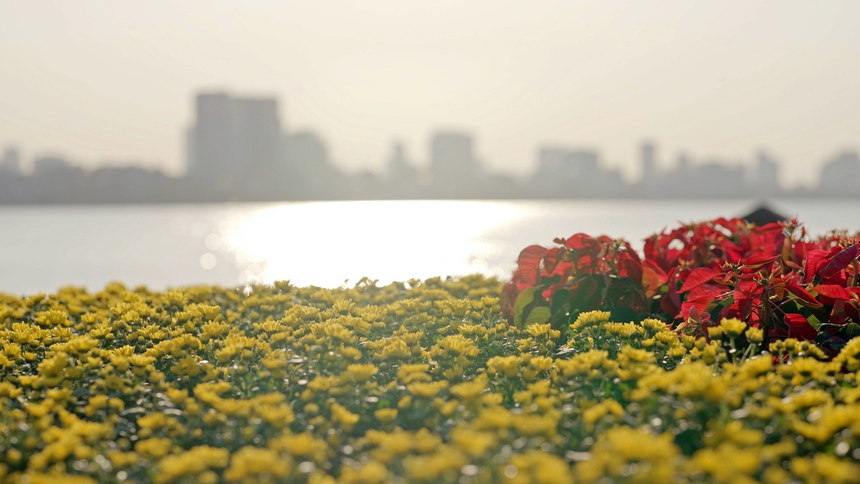 Series phim mới của Đài Hà Nội "chạm" đến trái tim khán giả - Ảnh 4. Series phim mới của Đài Hà Nội "chạm" đến trái tim khán giả - Ảnh 4.