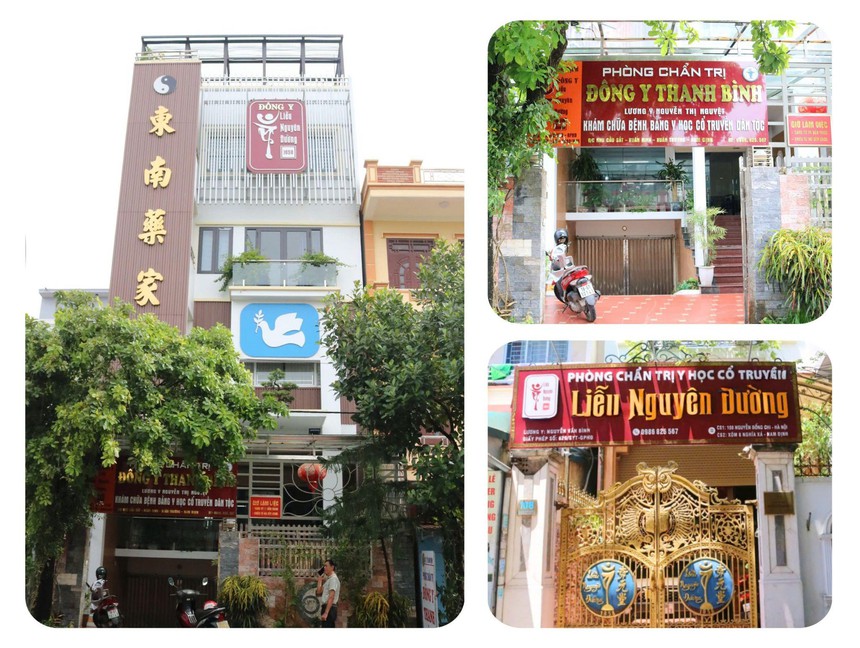 Giải thưởng danh giá Lê Hữu Trác xướng tên Liễu Nguyên Đường - Ảnh 4. Giải thưởng danh giá Lê Hữu Trác xướng tên Liễu Nguyên Đường - Ảnh 4.