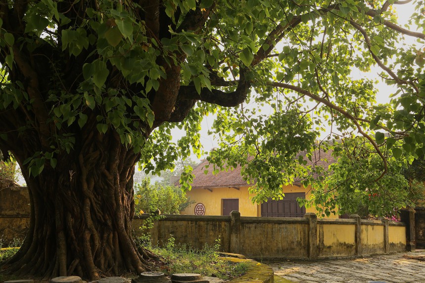 Làng Cựu - Nơi lưu giữ những giá trị văn hóa, kiến trúc xưa cũ của đất Hà thành - Ảnh 2.