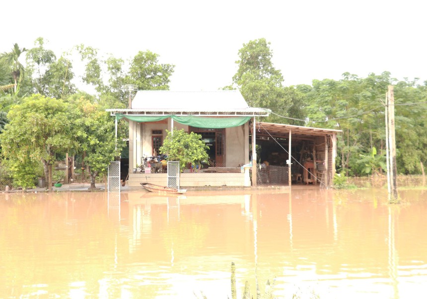 Quảng Trị: Sơ tán 937 hộ dân tránh lũ, nhiều nơi bị ngập lụt gây chia cắt - Ảnh 1. Quảng Trị: Sơ tán 937 hộ dân tránh lũ, nhiều nơi bị ngập lụt gây chia cắt - Ảnh 1.