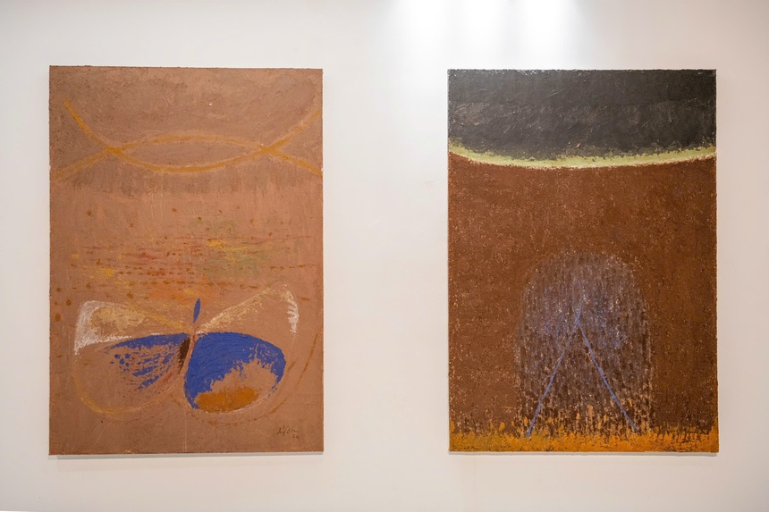 VCCA giới thiệu triển lãm "Đất - Earth" của họa sĩ Lý Trực Sơn - Ảnh 5.