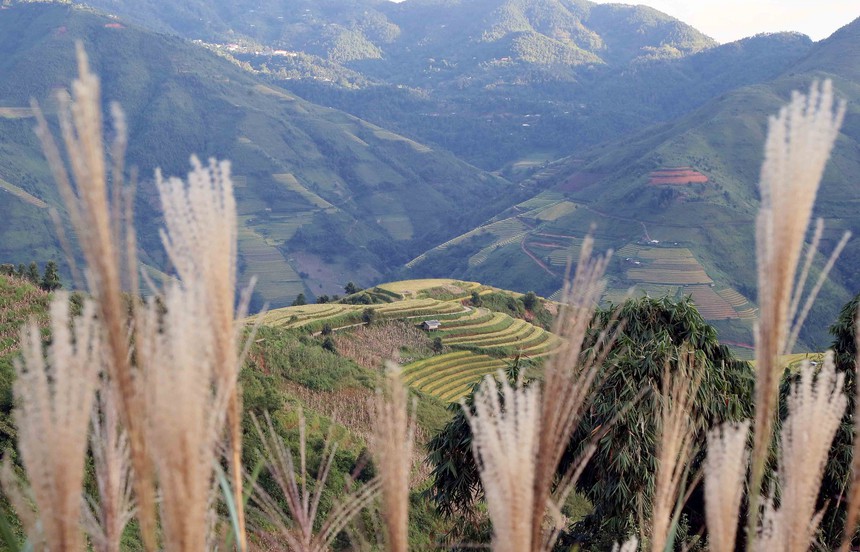 Du lịch Việt Nam: Mùa lúa chín nơi rẻo cao Bắc Yên, Sơn La - Ảnh 9. Du lịch Việt Nam: Mùa lúa chín nơi rẻo cao Bắc Yên, Sơn La - Ảnh 9.