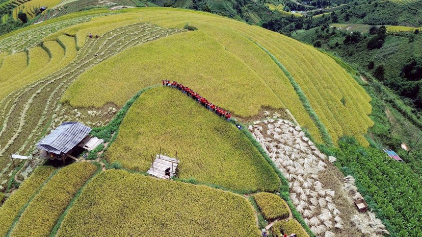 Du lịch Việt Nam: Mùa lúa chín nơi rẻo cao Bắc Yên, Sơn La - Ảnh 5. Du lịch Việt Nam: Mùa lúa chín nơi rẻo cao Bắc Yên, Sơn La - Ảnh 5.