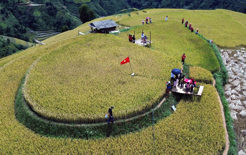 Du lịch Việt Nam: Mùa lúa chín nơi rẻo cao Bắc Yên, Sơn La - Ảnh 1. Du lịch Việt Nam: Mùa lúa chín nơi rẻo cao Bắc Yên, Sơn La - Ảnh 1.