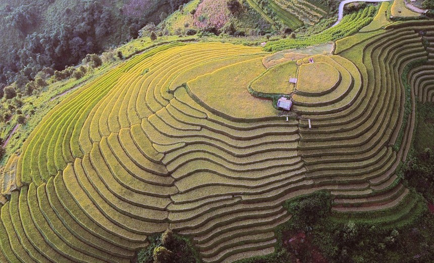 Du lịch Việt Nam: Mùa lúa chín nơi rẻo cao Bắc Yên, Sơn La - Ảnh 6. Du lịch Việt Nam: Mùa lúa chín nơi rẻo cao Bắc Yên, Sơn La - Ảnh 6.