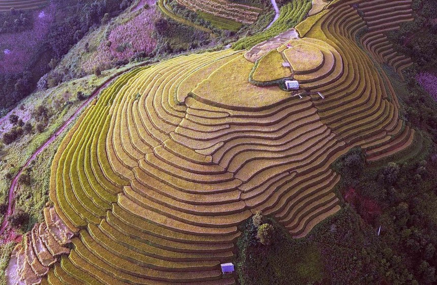 Du lịch Việt Nam: Mùa lúa chín nơi rẻo cao Bắc Yên, Sơn La - Ảnh 4. Du lịch Việt Nam: Mùa lúa chín nơi rẻo cao Bắc Yên, Sơn La - Ảnh 4.