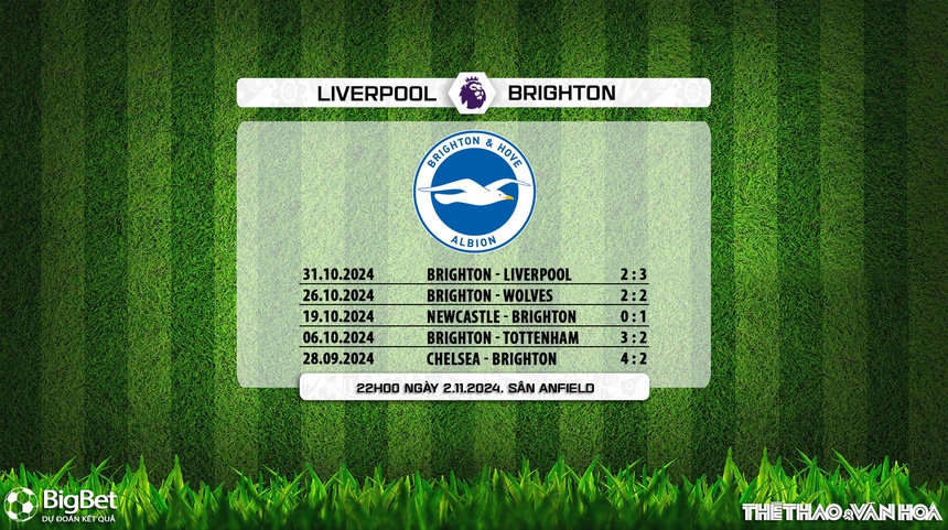 Nhận định, soi tỷ lệ Liverpool vs Brighton (22h00, 2/11), vòng 10 Giải Ngoại hạng Anh - Ảnh 10.