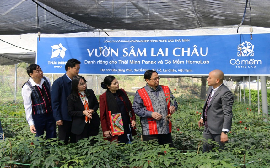 Đắm mình với Cao Nguyên Sìn Hồ - Vẻ đẹp hoang sơ của Tây Bắc - Ảnh 3.