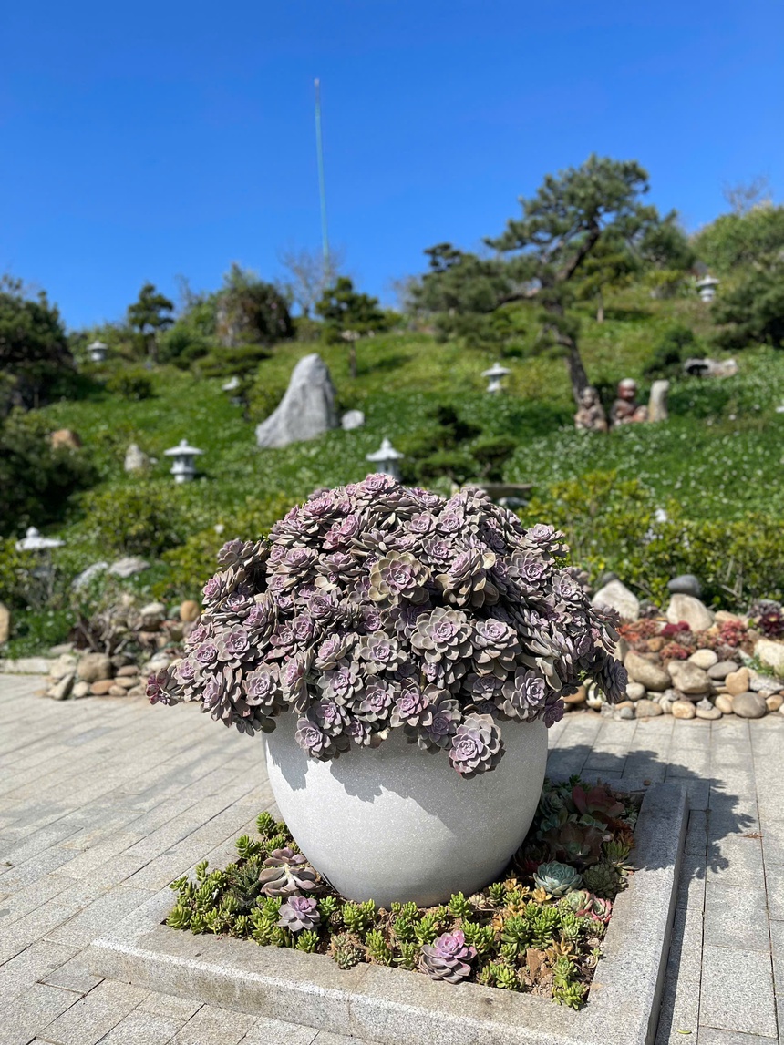 Sa Pa: Đón mùa cao điểm kích cầu du lịch với loạt lễ hội văn hoá, thể thao độc đáo - Ảnh 3. Sa Pa: Đón mùa cao điểm kích cầu du lịch với loạt lễ hội văn hoá, thể thao độc đáo - Ảnh 3.