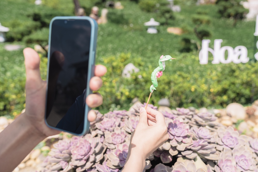 Lễ hội hoa Sen đá lần đầu tiên ở Bản Mây, Sa Pa - Ảnh 3. Lễ hội hoa Sen đá lần đầu tiên ở Bản Mây, Sa Pa - Ảnh 3.