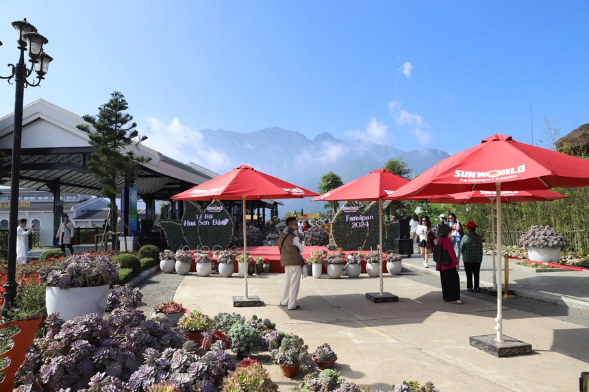 Lễ hội hoa Sen đá lần đầu tiên ở Bản Mây, Sa Pa - Ảnh 5. Lễ hội hoa Sen đá lần đầu tiên ở Bản Mây, Sa Pa - Ảnh 5.