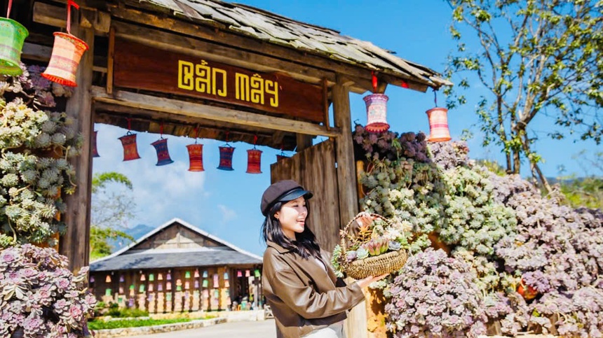 Độc đáo Lễ hội hoa Sen đá lần đầu tiên ở Bản Mây, Sa Pa - Ảnh 1. Độc đáo Lễ hội hoa Sen đá lần đầu tiên ở Bản Mây, Sa Pa - Ảnh 1.