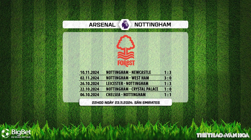 Nhận định, soi tỷ lệ Arsenal vs Nottingham (22h00, 23/11), vòng 12 Ngoại hạng Anh - Ảnh 10.