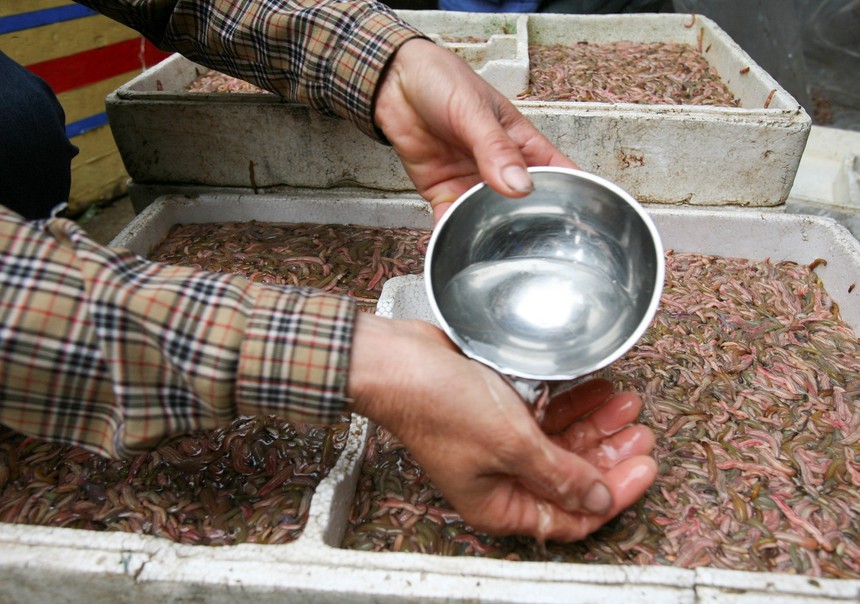 Cuộc sống sau ống kính: Lại đến mùa rươi - Ảnh 2.