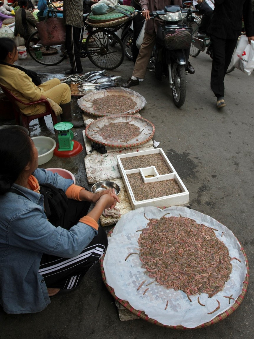 Cuộc sống sau ống kính: Lại đến mùa rươi - Ảnh 5.