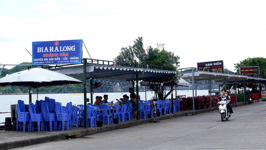 Viện trưởng Viện Nghiên cứu Phát triển Du lịch: Nhà đầu tư lớn sẽ định hình du lịch Cát Bà - Ảnh 2. Viện trưởng Viện Nghiên cứu Phát triển Du lịch: Nhà đầu tư lớn sẽ định hình du lịch Cát Bà - Ảnh 2.