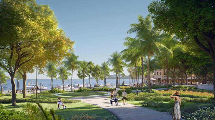 Viện trưởng Viện Nghiên cứu Phát triển Du lịch: Nhà đầu tư lớn sẽ định hình du lịch Cát Bà - Ảnh 5. Viện trưởng Viện Nghiên cứu Phát triển Du lịch: Nhà đầu tư lớn sẽ định hình du lịch Cát Bà - Ảnh 5.