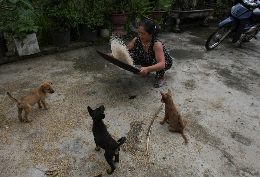 Cuộc sống sau ống kính: Nơi "sống chậm" sớm nhất Việt Nam? - Ảnh 6. Cuộc sống sau ống kính: Nơi "sống chậm" sớm nhất Việt Nam? - Ảnh 6.