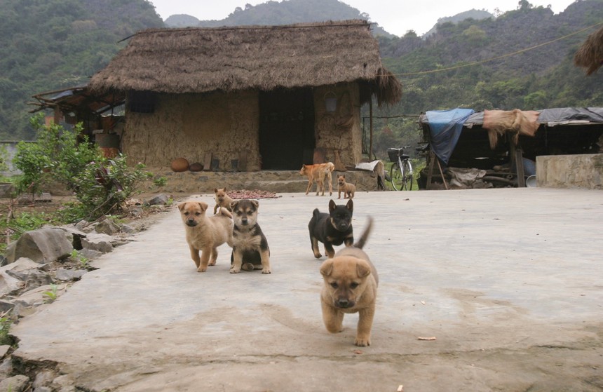 Cuộc sống sau ống kính: Nơi "sống chậm" sớm nhất Việt Nam? - Ảnh 5. Cuộc sống sau ống kính: Nơi "sống chậm" sớm nhất Việt Nam? - Ảnh 5.