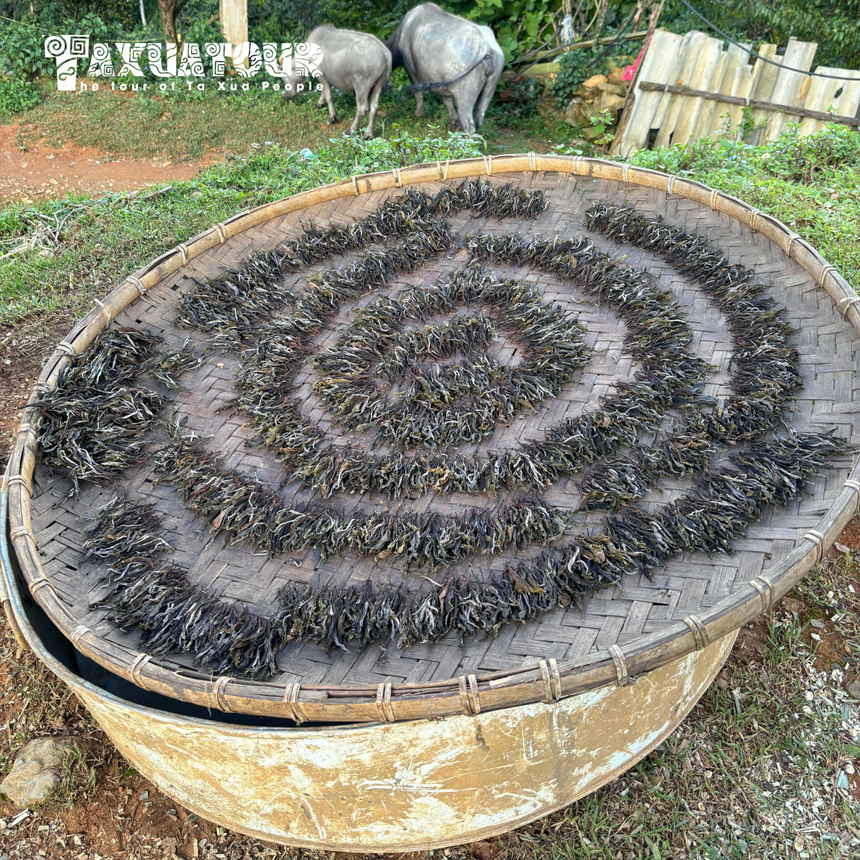 Check in Tà Xùa - điểm "săn mây" tuyệt đẹp với chi phí cực hợp lý - Ảnh 2.