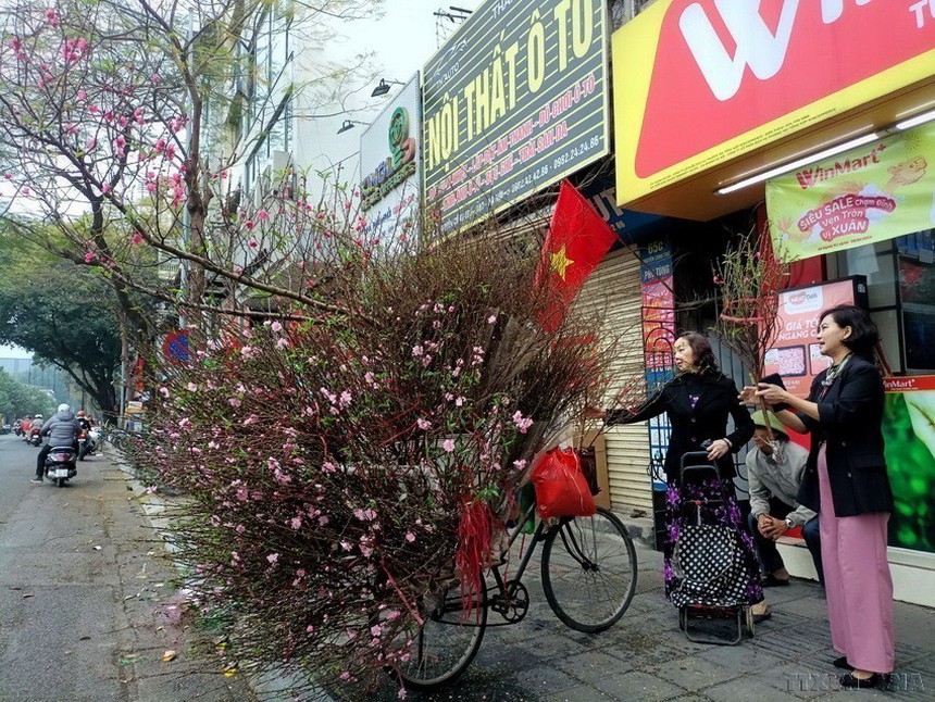 Hoa đào trong Ngày Tết cổ truyền của người Việt Nam - Ảnh 12.