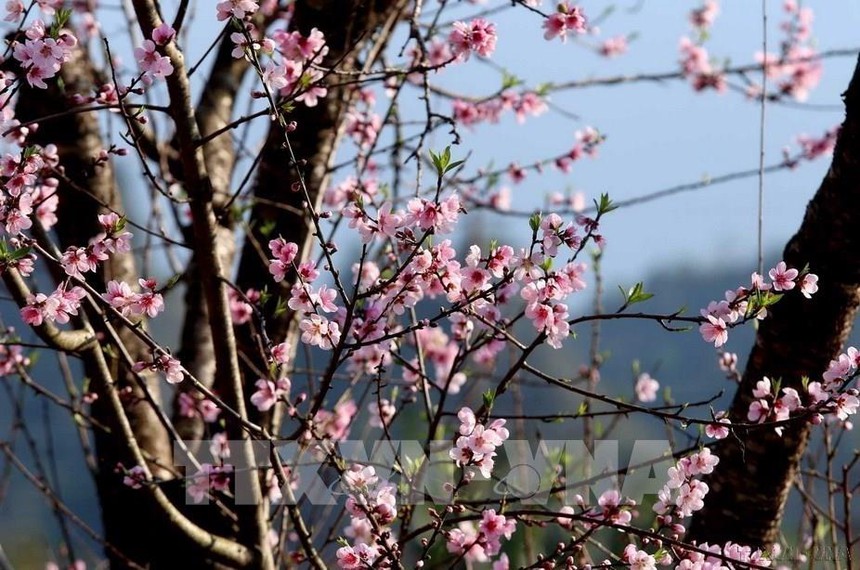 Dự báo thời tiết mùng 2 Tết Nguyên đán Giáp Thìn: Thời tiết thuận lợi để vui Xuân - Ảnh 2.