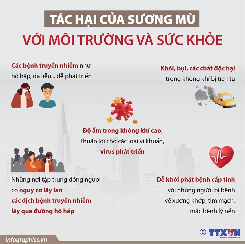 Tác hại của sương mù với môi trường và sức khỏe - Ảnh 1.