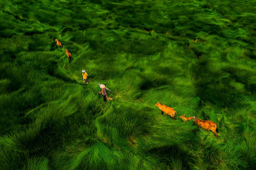 Nhiếp ảnh gia Khánh Phan: Săn ảnh với đôi chân chưa biết mỏi mệt - Ảnh 5.