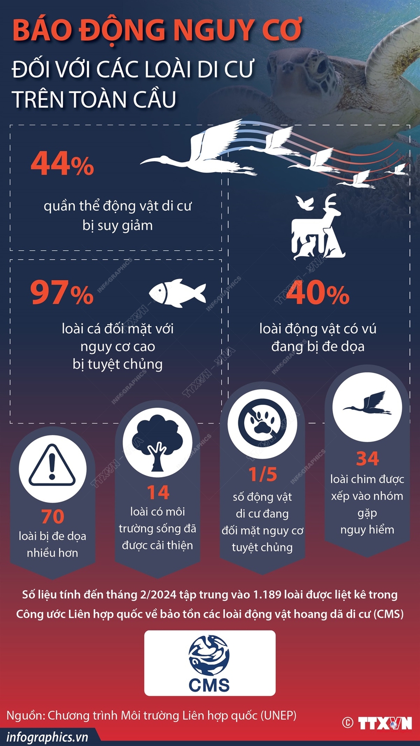 Báo động nguy cơ đối với các loài di cư trên toàn cầu - Ảnh 1. Báo động nguy cơ đối với các loài di cư trên toàn cầu - Ảnh 1.