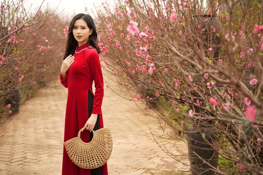 Lời chúc mừng năm mới mang may mắn, bình an và tài lộc Tết Nguyên đán 2024 - Ảnh 2.