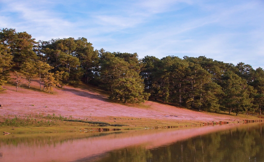 BÀI TẾT - Ngẫm cùng 'vùng trời âm nhạc' Đà Lạt - Ảnh 8. BÀI TẾT - Ngẫm cùng 'vùng trời âm nhạc' Đà Lạt - Ảnh 8.