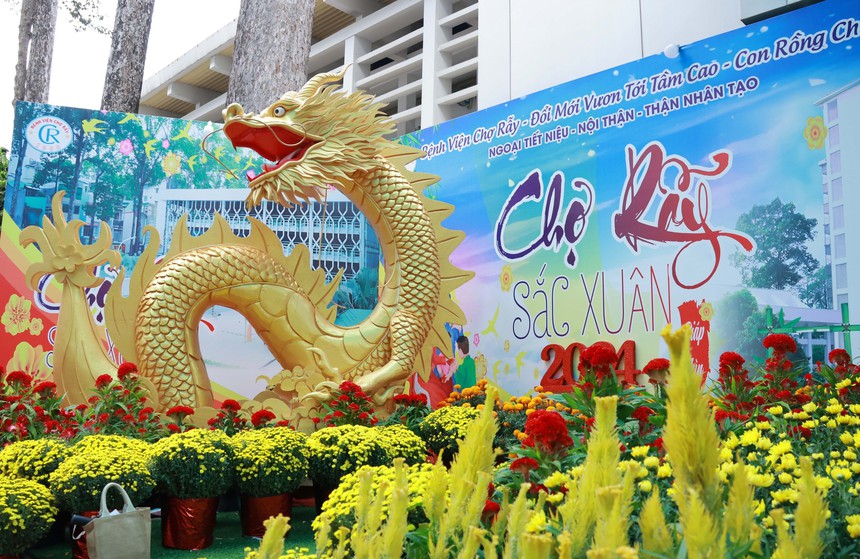 Đường hoa bệnh viện - Mang Xuân đến với bệnh nhân - Ảnh 2.