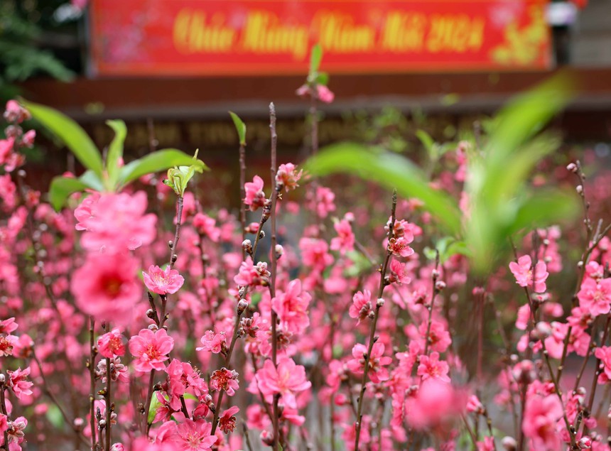 Phong vị Tết Hà Nội xưa và nay - Ảnh 2.