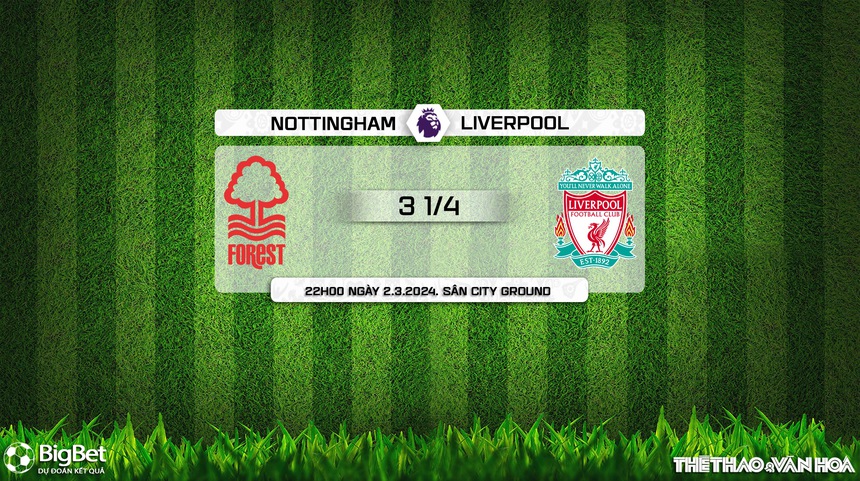 Nhận định Nottingham vs Liverpool (22h00, 2/3), Ngoại hạng Anh vòng 27 - Ảnh 9. Nhận định Nottingham vs Liverpool (22h00, 2/3), Ngoại hạng Anh vòng 27 - Ảnh 9.