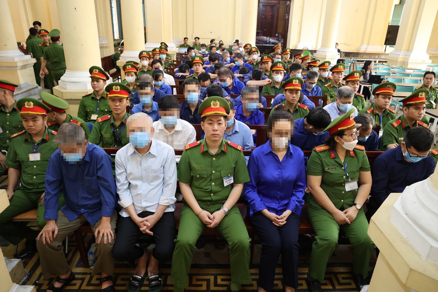 Xét xử sơ thẩm vụ án Vạn Thịnh Phát: Các luật sư đề nghị xem xét lại tội danh của bị cáo Trương Mỹ Lan - Ảnh 3.