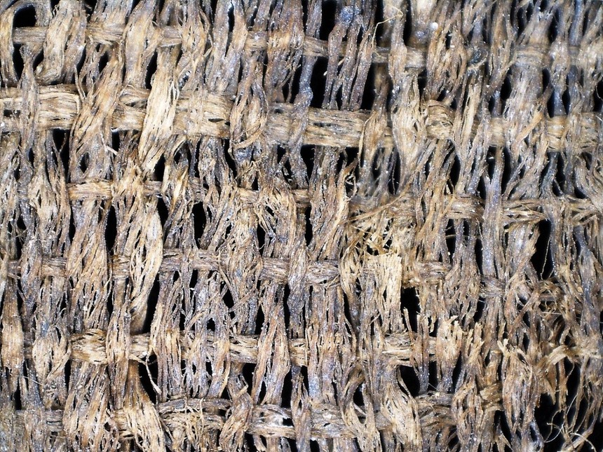 Tìm về trang phục thời Đông Sơn (kỳ 2): Truy tìm cội nguồn nguyên liệu vải sợi Đông Sơn - Ảnh 2.