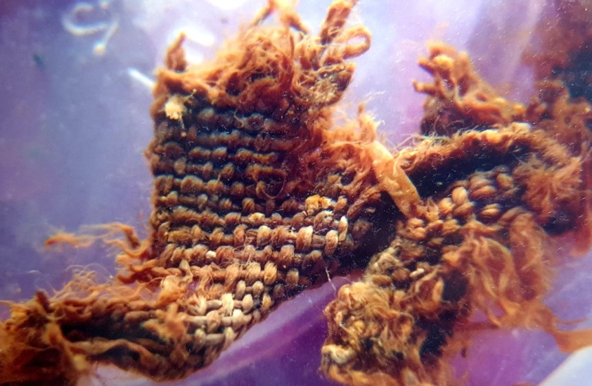 Tìm về trang phục thời Đông Sơn (kỳ 2): Truy tìm cội nguồn nguyên liệu vải sợi Đông Sơn - Ảnh 6.