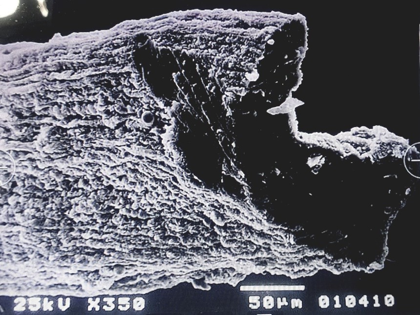 Tìm về trang phục thời Đông Sơn (kỳ 2): Truy tìm cội nguồn nguyên liệu vải sợi Đông Sơn - Ảnh 5.